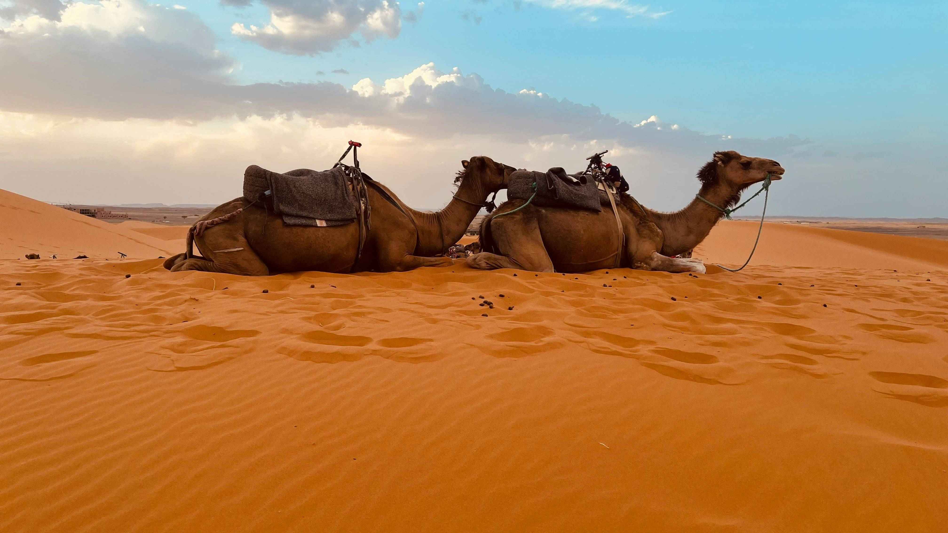 Luxury Tour Experience 2