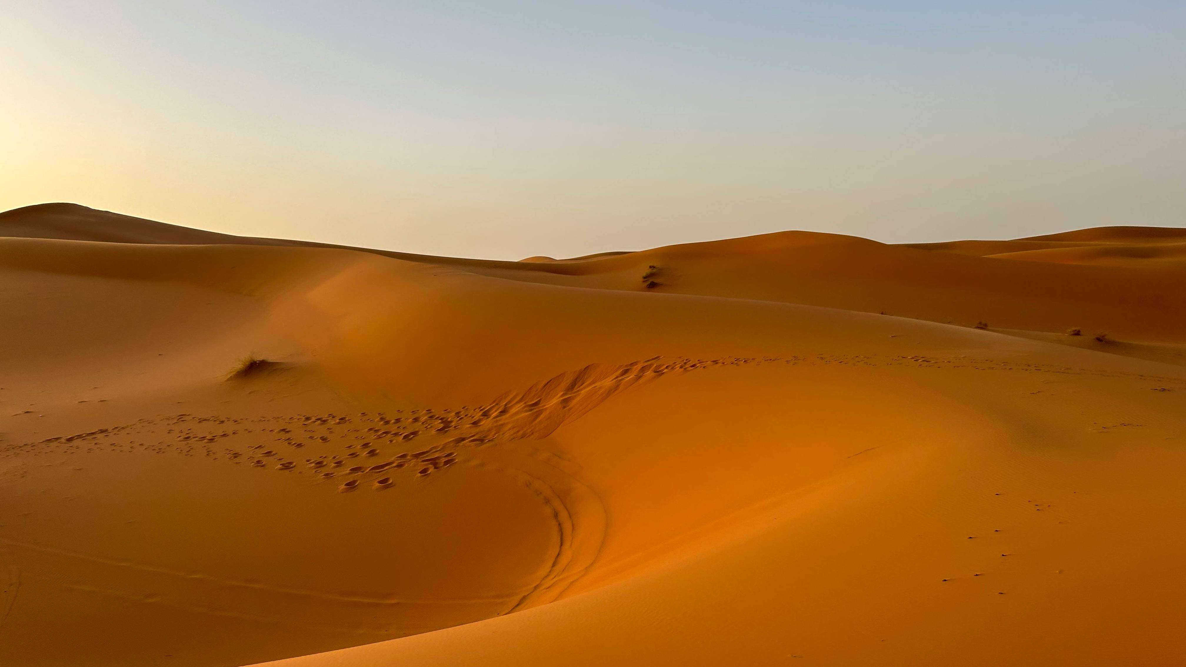 Luxury Tour Experience 3